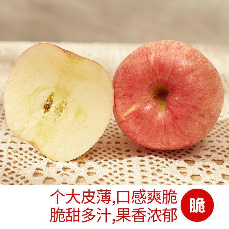 山东苹果红富士苹果条纹全红脆甜多汁皮薄脆爽