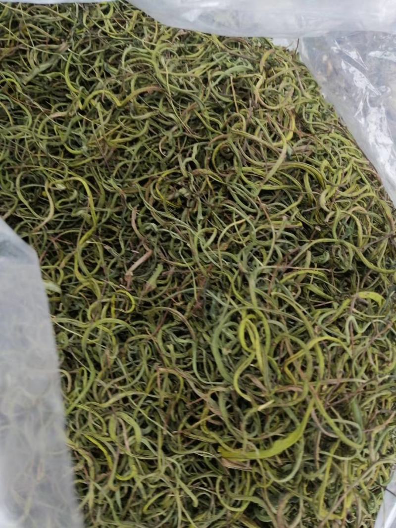 长白山肾精茶也叫化石草支持线上保障交易，批发零售