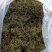 长白山肾精茶也叫化石草支持线上保障交易，批发零售