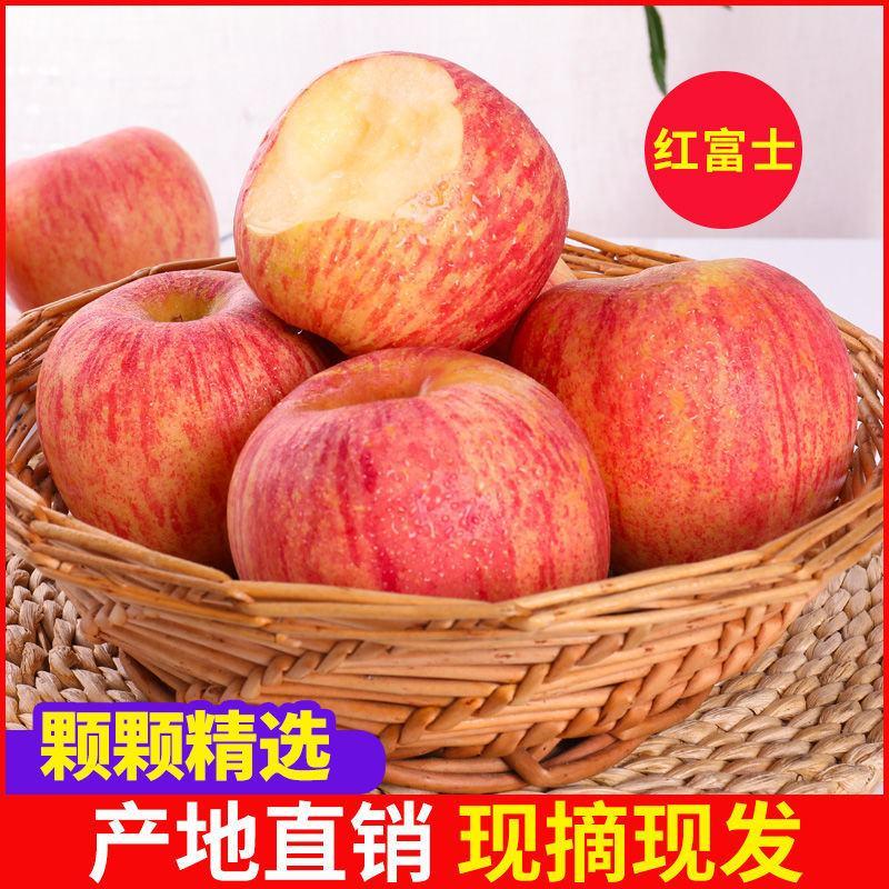 山东红富士苹果【优选商家】条纹全红脆甜多汁一手货源
