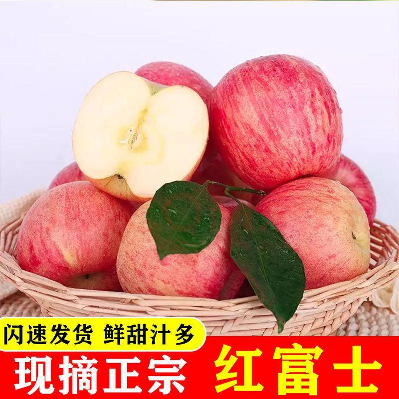 山东苹果正宗红富士苹果条纹全红脆甜多汁皮薄脆爽