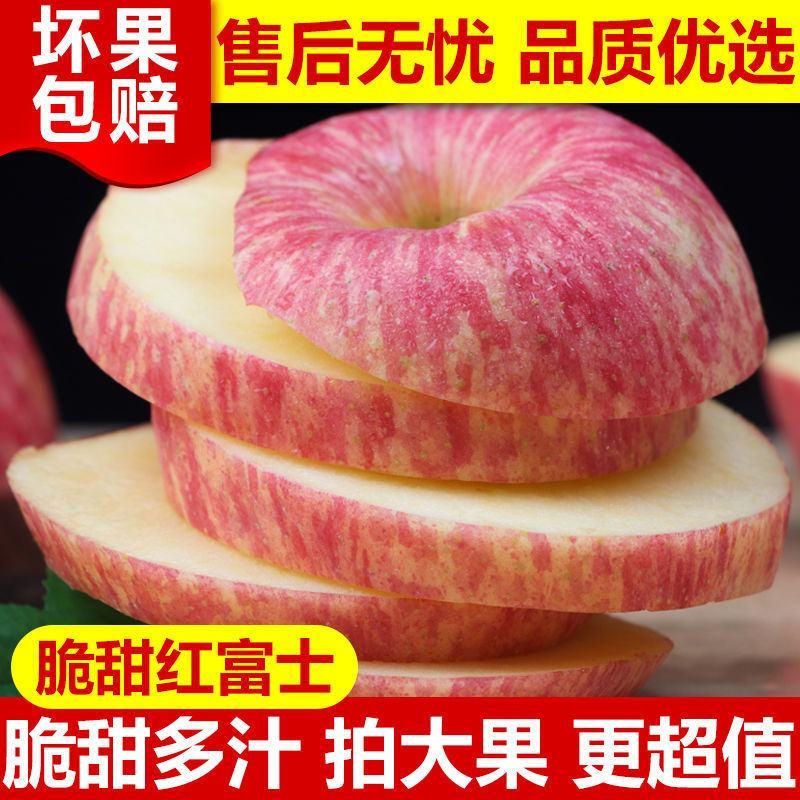 山东苹果正宗红富士苹果条纹全红一手货源基地直发