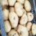 滕州2024年新土豆大量现货供应，黄皮黄心质量好颜色漂亮