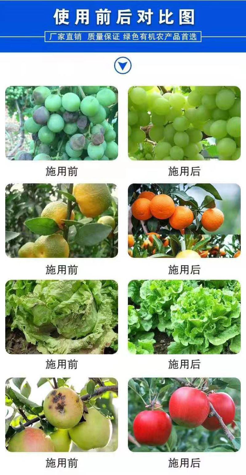 氨基酸水溶肥强力生根壮秧膨果