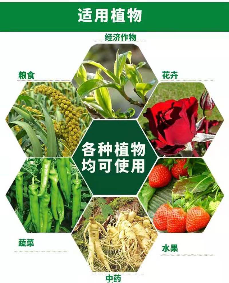 氨基酸水溶肥强力生根壮秧膨果