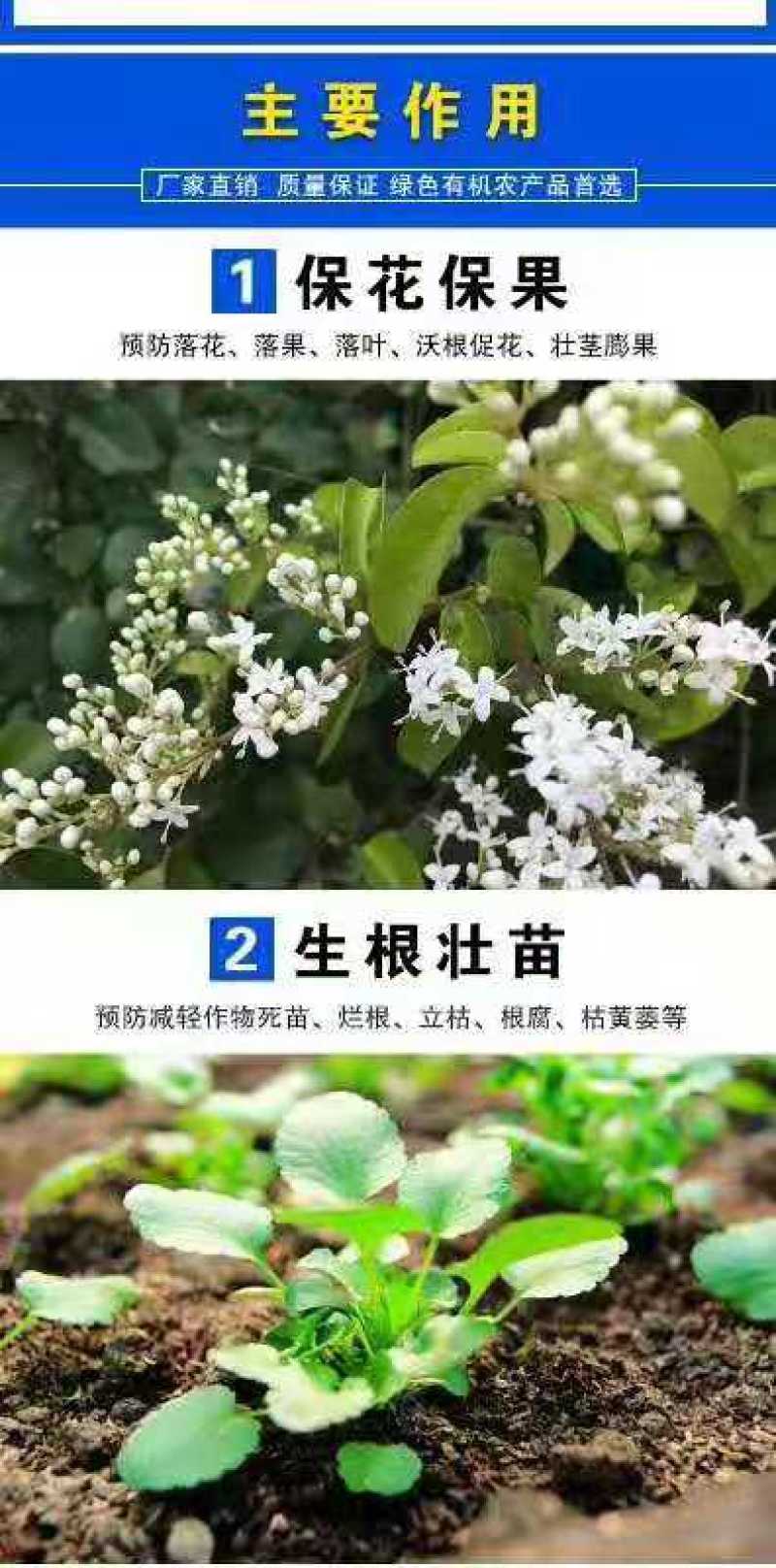 氨基酸水溶肥强力生根壮秧膨果
