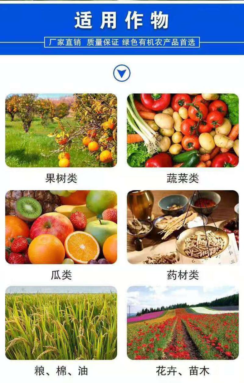 氨基酸水溶肥强力生根壮秧膨果