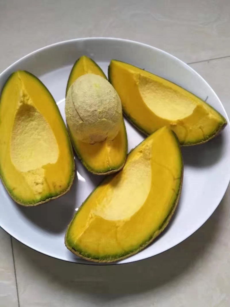 牛油果苗/新品种越南4号嫁接苗
