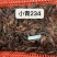 潜江小龙虾，小青，中青，大青，养殖基地一手货源