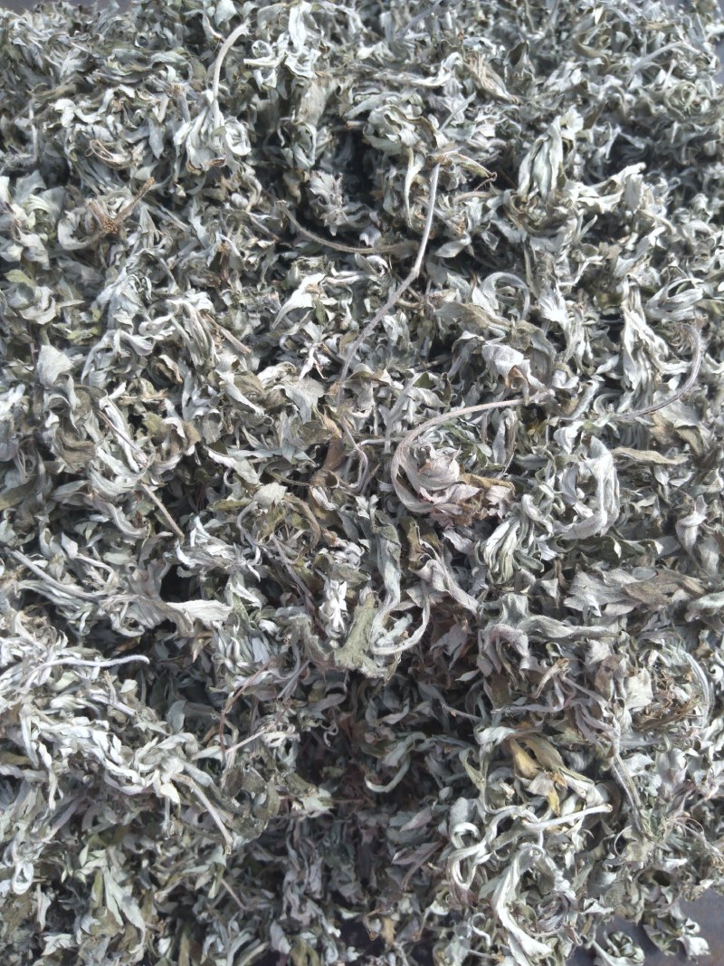 山东沂蒙山野生艾叶自然晾干