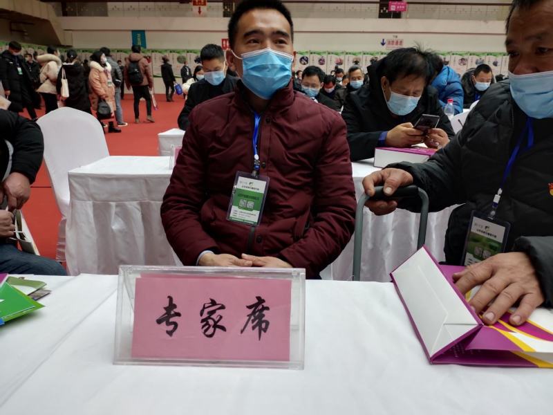 优质脱毒红薯苗西瓜红龙九商薯19厂家批发价