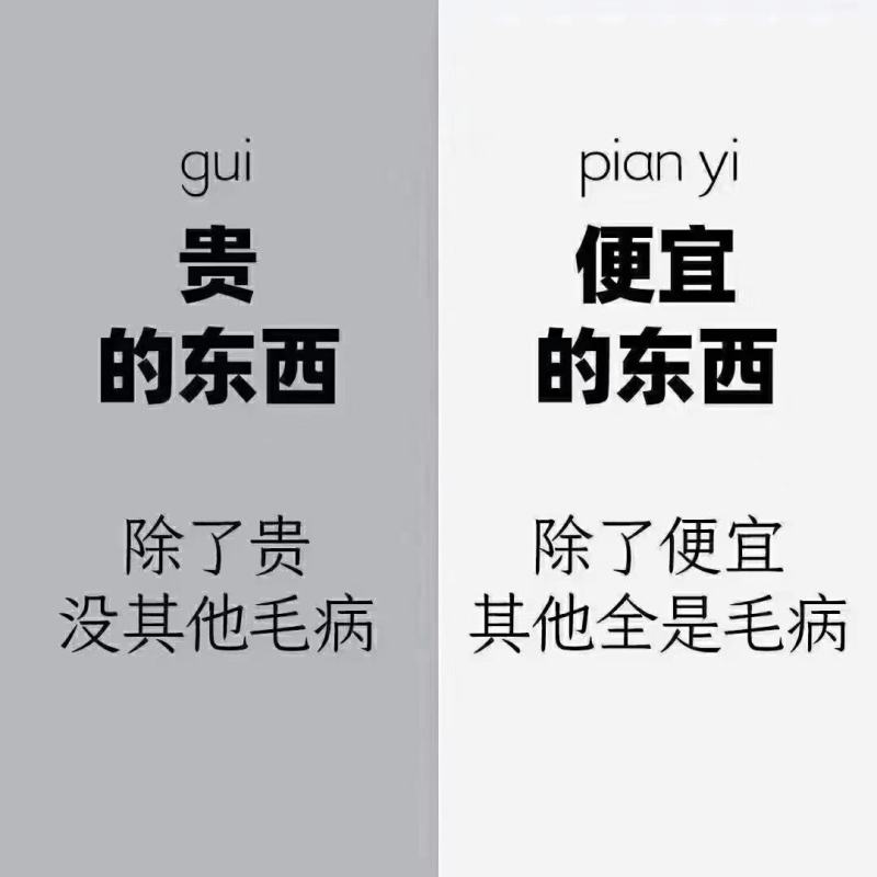 生姜苗组培脱毒姜苗高产姜苗生姜苗有机姜