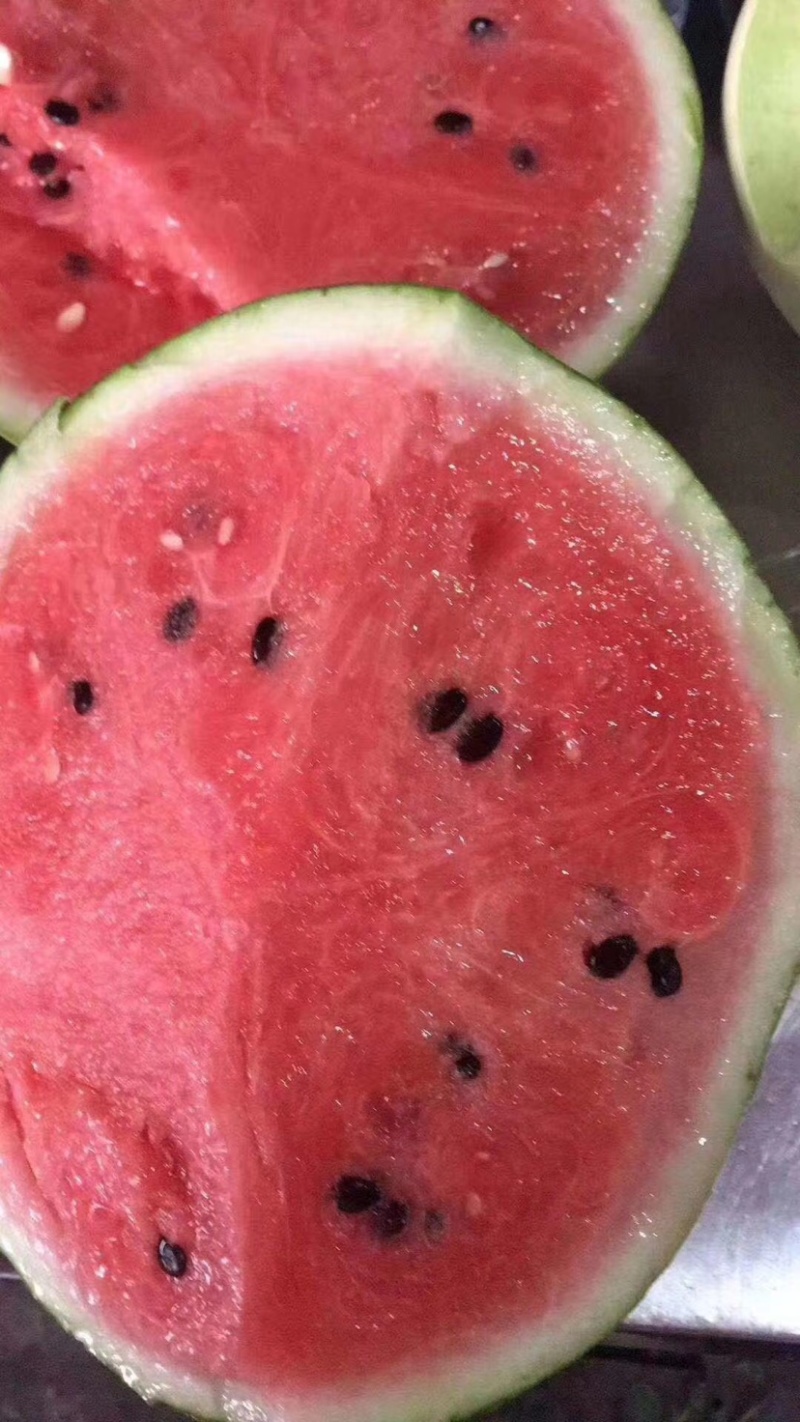 自产自销头批8424大棚西瓜大批量上市，水分充足口感超好