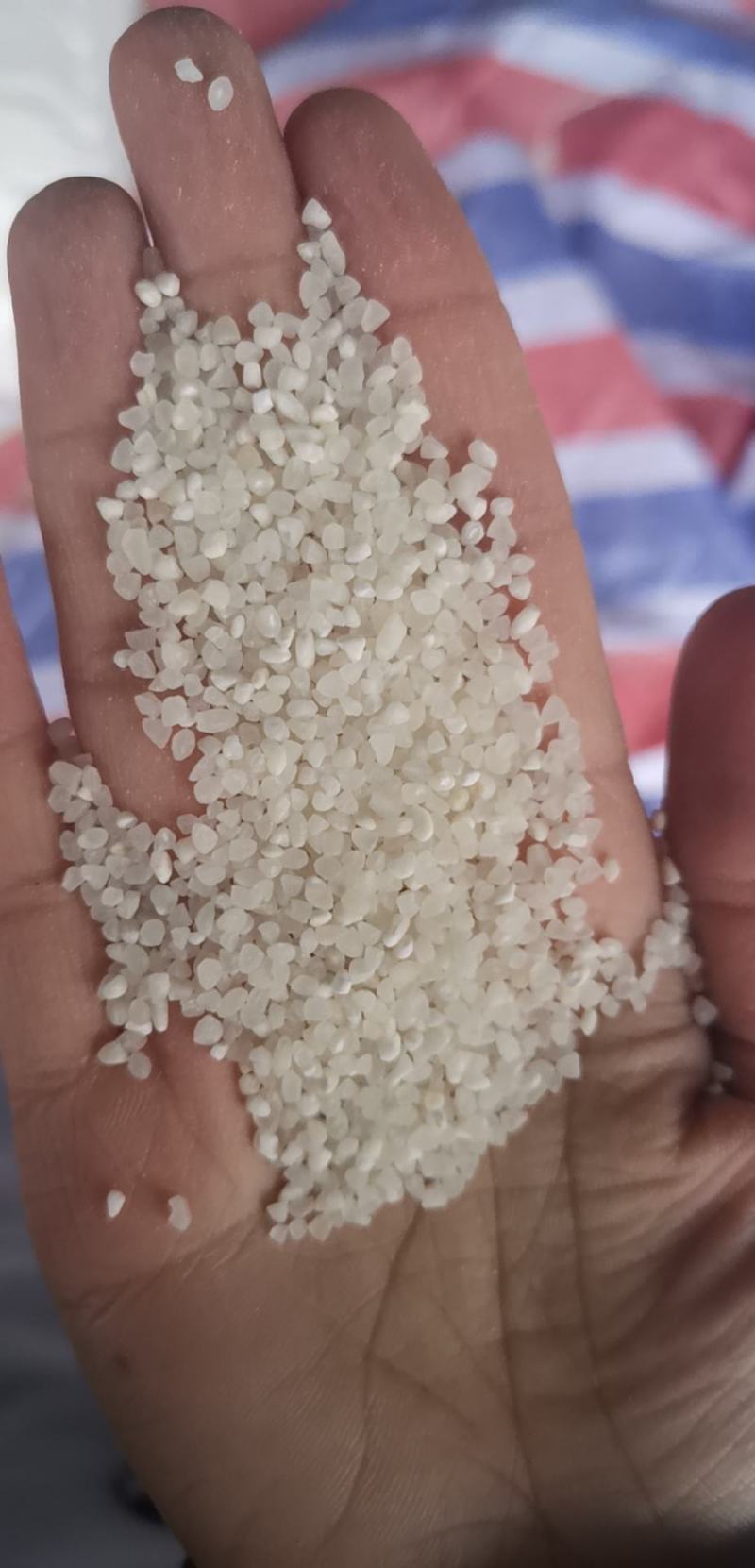 粳米，抛光中碎，食品用