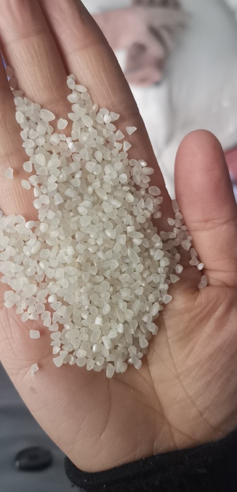 粳米，抛光中碎，食品用