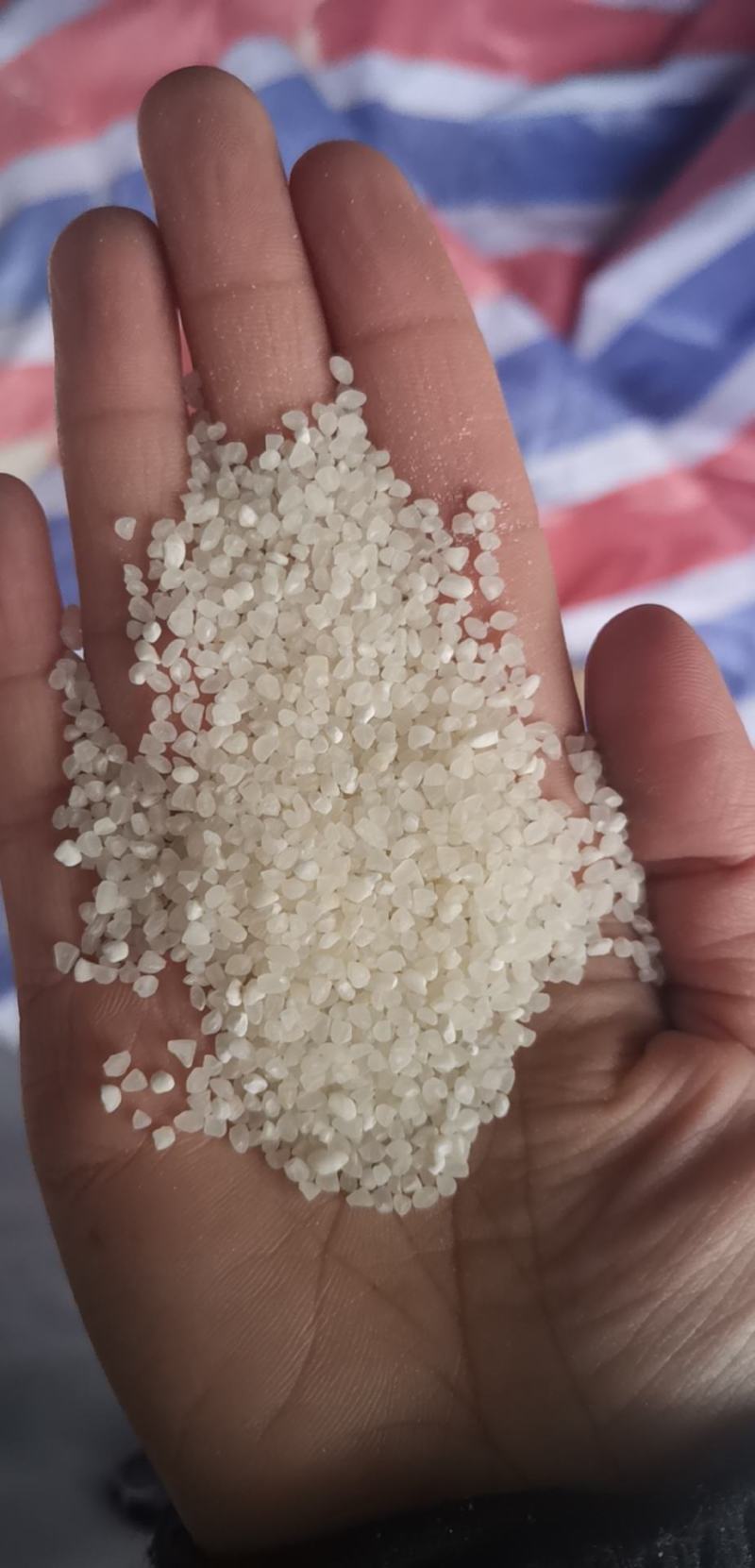 粳米，抛光中碎，食品用