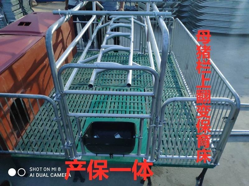 镀锌母猪产床分娩床产保一体定位栏限位栏保育栏