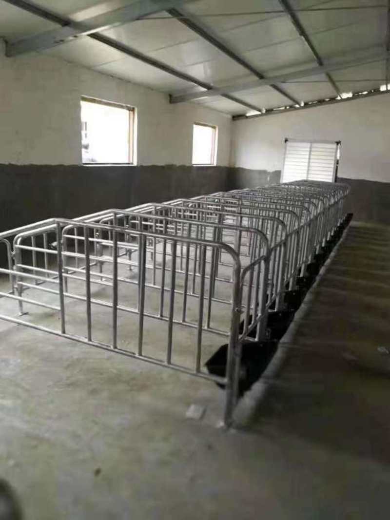 镀锌母猪产床分娩床产保一体定位栏限位栏保育栏