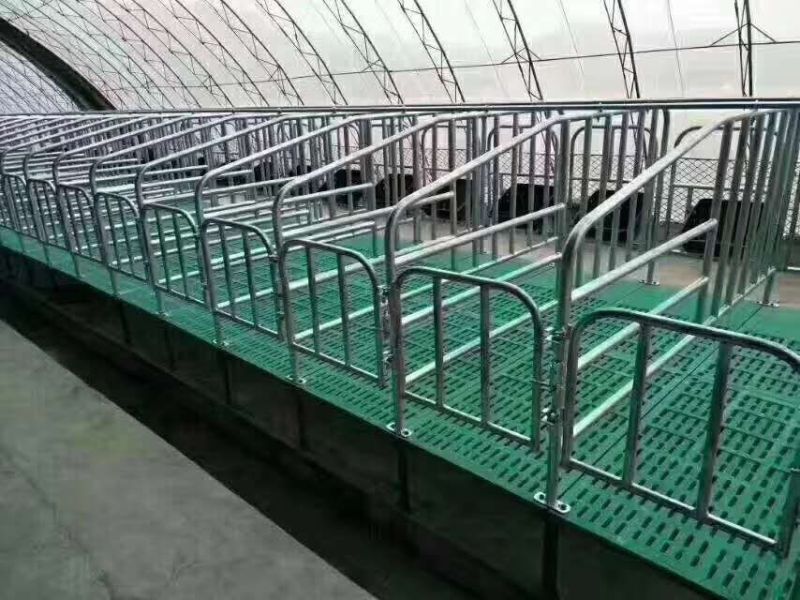 镀锌母猪产床分娩床产保一体定位栏限位栏保育栏