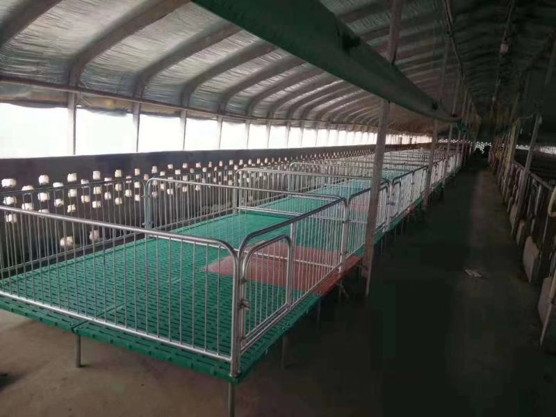 镀锌母猪产床分娩床产保一体定位栏限位栏保育栏