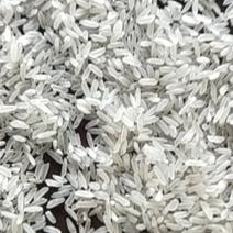 湖北沙洋虾稻种植专业种植2千亩专业种植香稻量大从优
