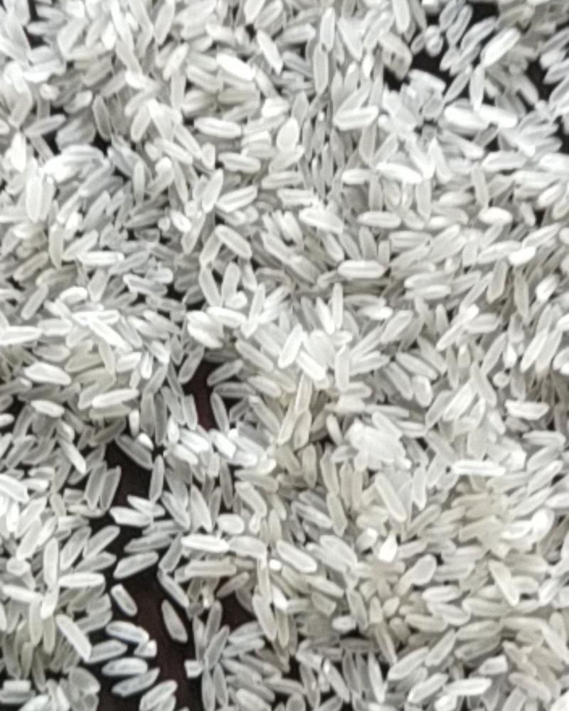 湖北沙洋虾稻种植专业种植2千亩专业种植香稻量大从优