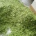 榆钱，野菜，特菜，产地直供，量大从优！五十斤起批