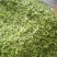 榆钱，野菜，特菜，产地直供，量大从优！五十斤起批