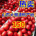 山东大棚油桃产地批发价格便宜市场收货以质论价,全国发货