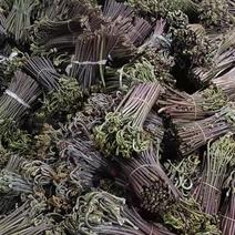 大量出售野山地鲜蕨菜，质量好品质好味道可口。
