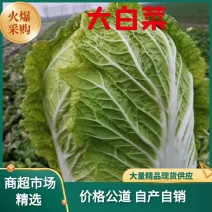 富硒白菜。万亩基地任君挑选。一手货源，量大从优。