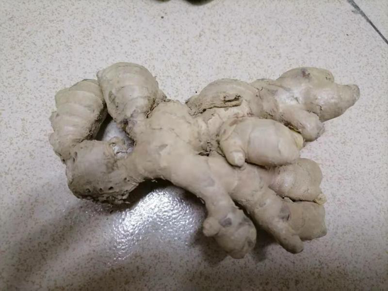 生姜，优质小姜产地直销