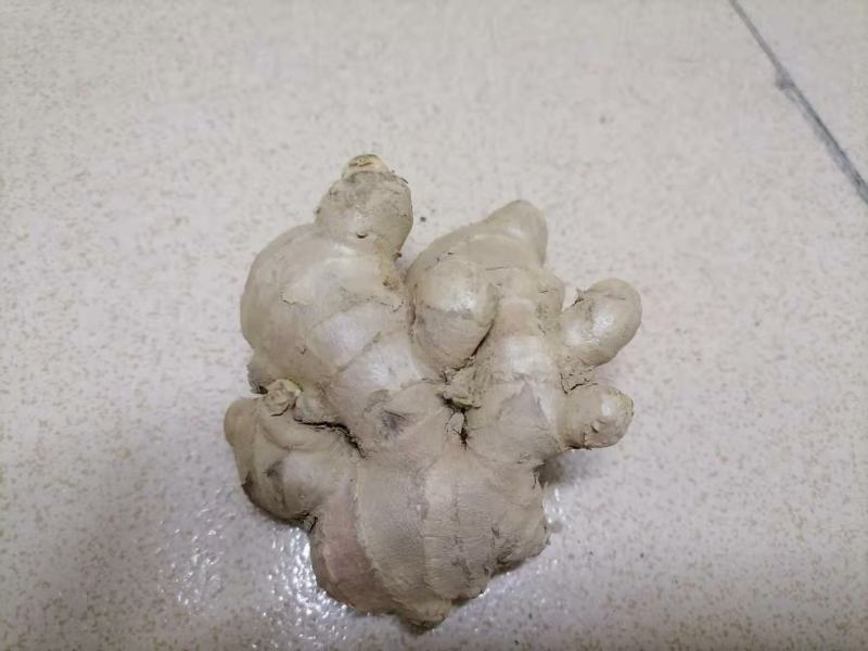 生姜，优质小姜产地直销