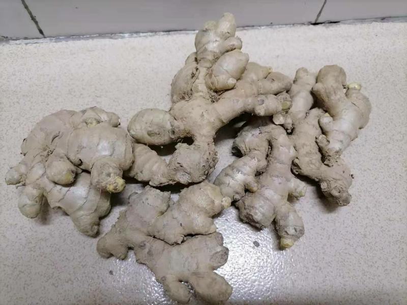 生姜，优质小姜产地直销