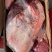 巴西GJ牛肉(牛胸肉)17512543