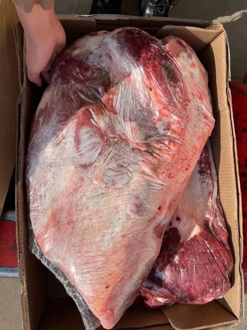 巴西GJ牛肉(牛胸肉)17512543