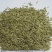 一年生黑麦草耐寒,高产,适口性好,猪牛羊鸡鸭鹅