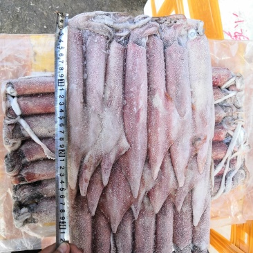 灯光船捕红鱿鱼，各种规格齐全，爽口鲜甜，吃过还想吃。