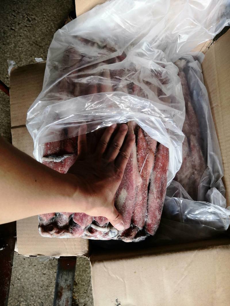 灯光船捕红鱿鱼，各种规格齐全，爽口鲜甜，吃过还想吃。