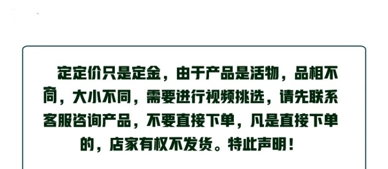 鸵鸟养殖场直销视频挑选鸵鸟养殖技术鸵鸟包邮