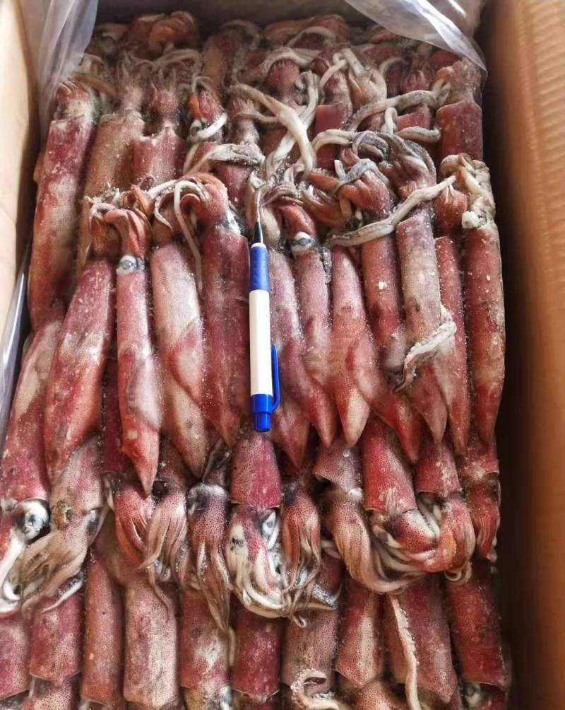 灯光船捕红鱿鱼，各种规格齐全，爽口鲜甜，吃过还想吃。