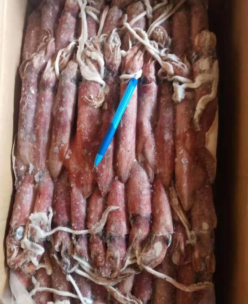 灯光船捕红鱿鱼，各种规格齐全，爽口鲜甜，吃过还想吃。