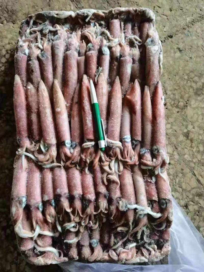 灯光船捕红鱿鱼，各种规格齐全，爽口鲜甜，吃过还想吃。