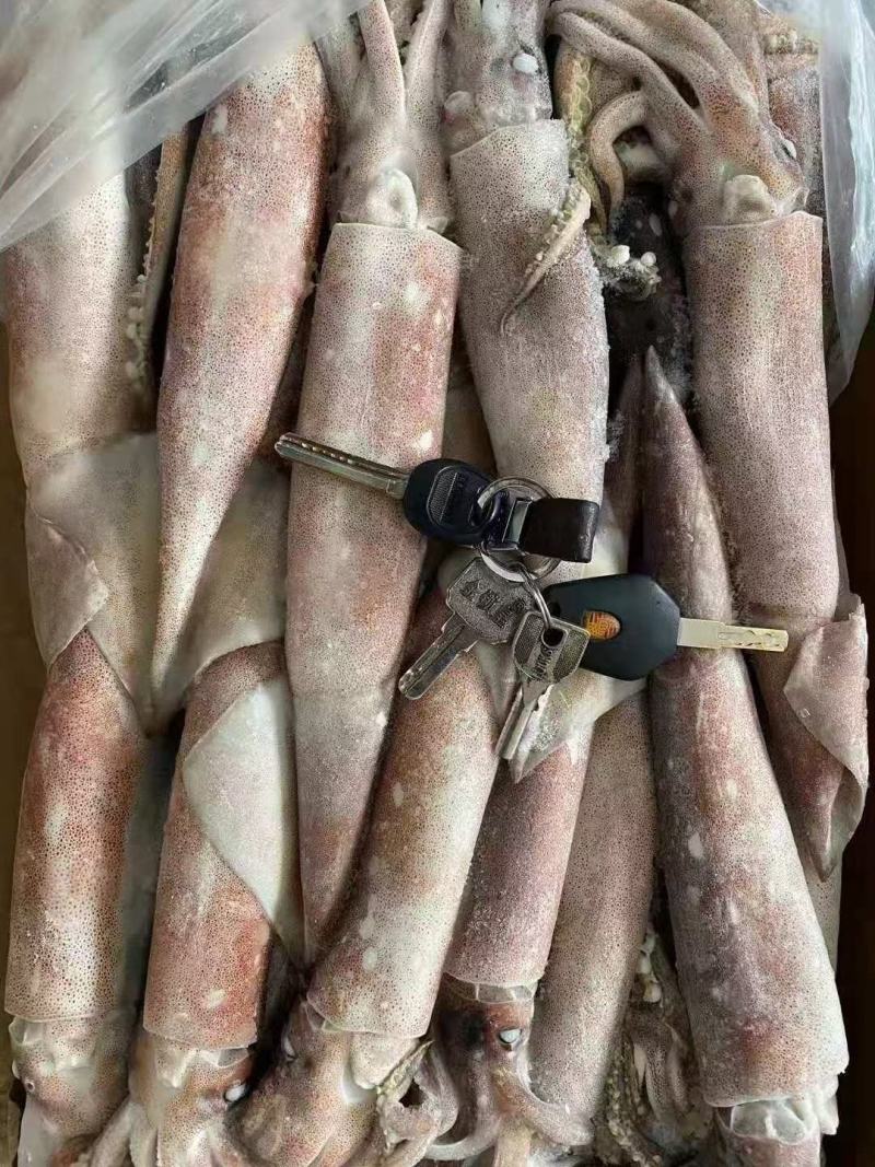 飞机鱿鱼，分别为36,37,38,39,40适合批发零售