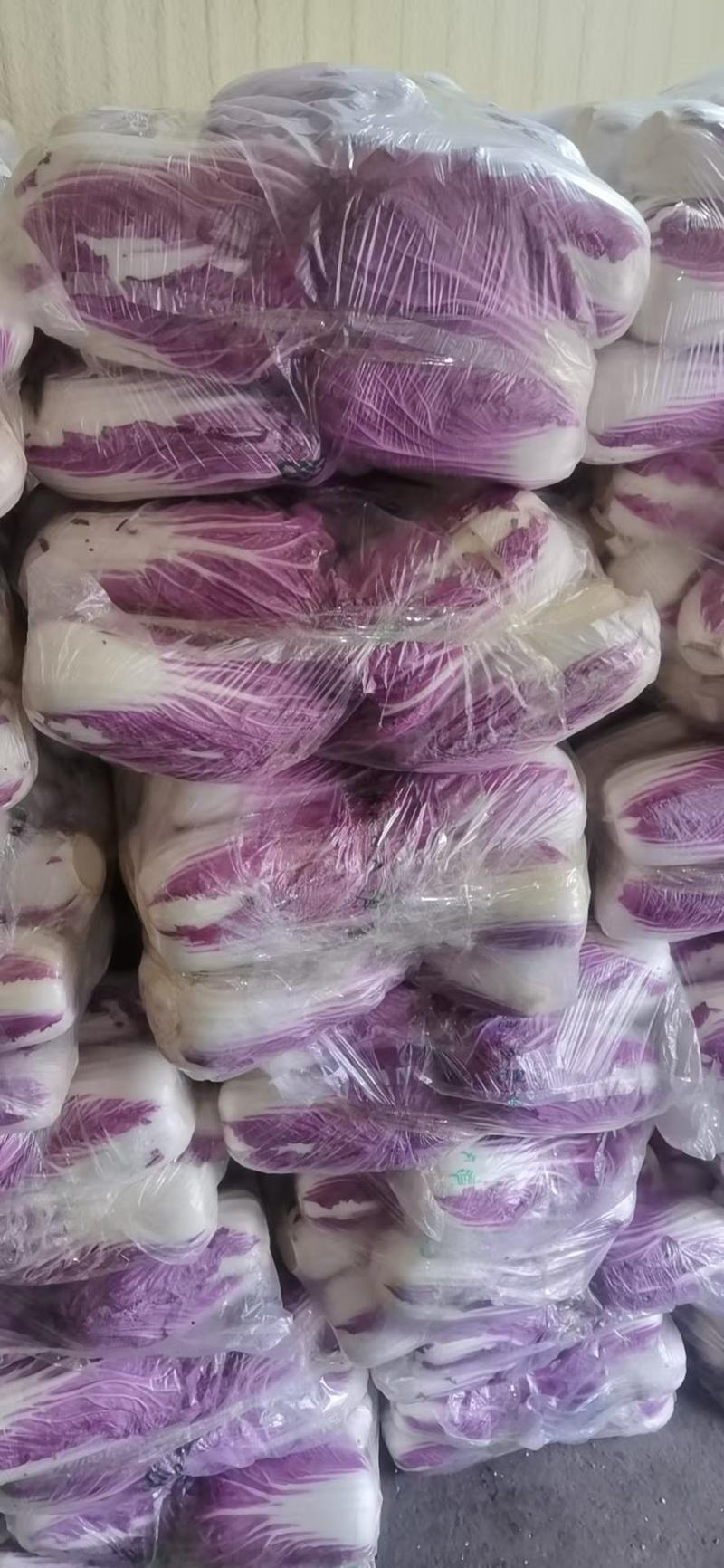 紫白菜，韩国进口紫白菜，紫色白菜