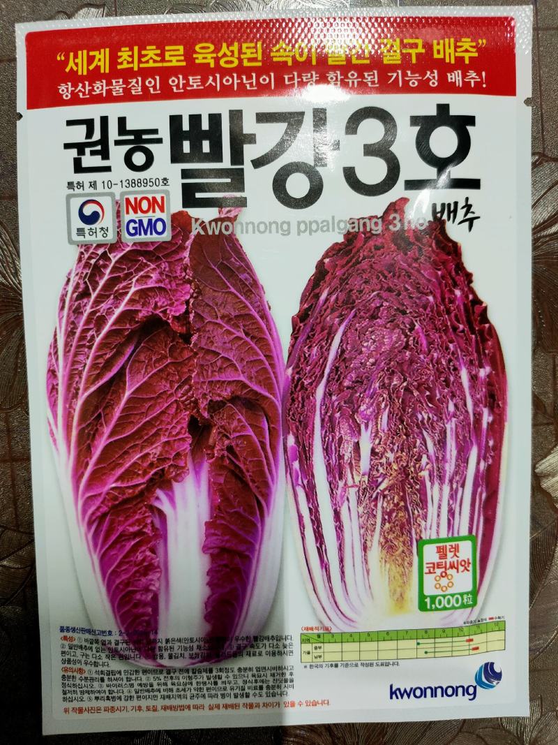 紫白菜，韩国进口紫白菜，紫色白菜