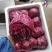 红地球菊苣红球紫菊