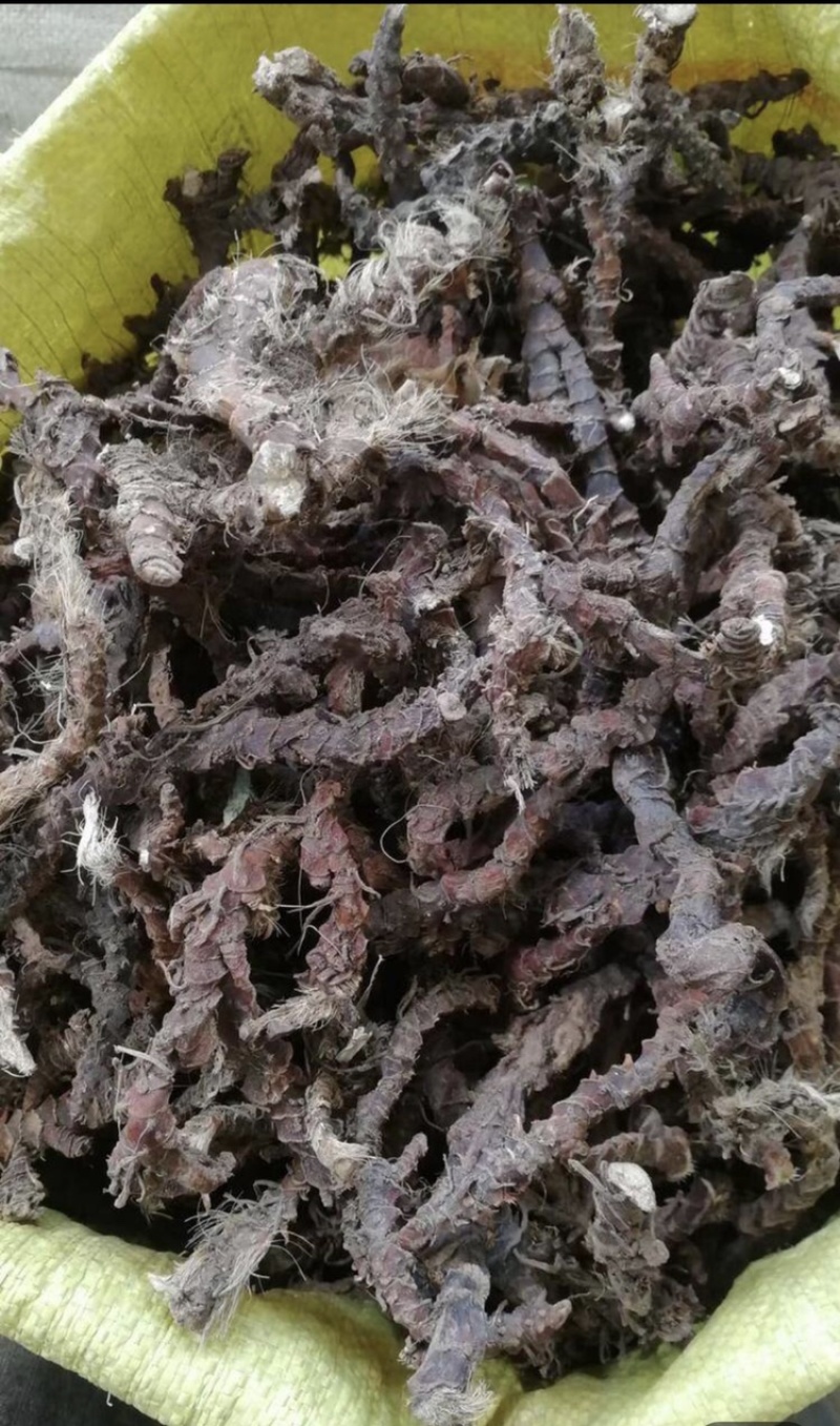 野生石菖蒲山菖蒲药菖蒲九节蒲叶水剑草药新鲜干货。