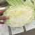 扁包菜。便宜包菜。（颜色绿，个头345）