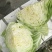 扁包菜。便宜包菜。（颜色绿，个头345）